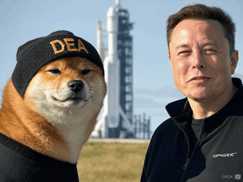 a dog wearing a beanie that says dea stands next to a man