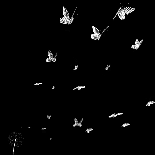 a bunch of white butterflies are flying in the air on a black background