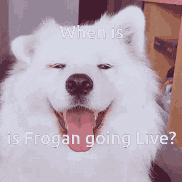 a white dog with its tongue hanging out and a caption that says when is frogan going live