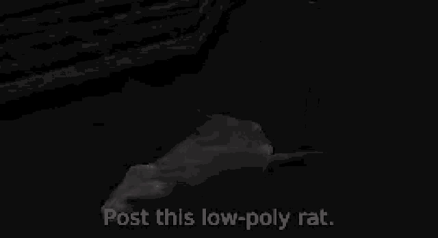 Post This Rat Rat GIF - Post This Rat Rat Post GIFs