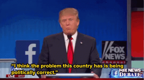 The Problem This Country Has Is Being Politically Correct GIF - Politically Correct Pc Donald Trump GIFs