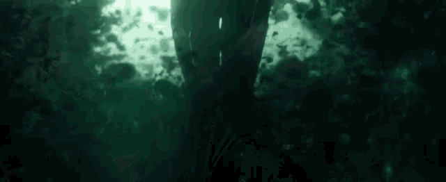a person is standing in the dark in the water holding a fish .