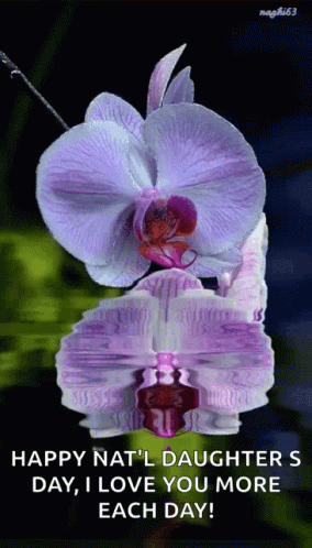 Flower National Daughters Day GIF - Flower National Daughters Day Orchid GIFs