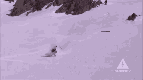 Skiing Snowboarding GIF - Skiing Snowboarding Ski Fail GIFs