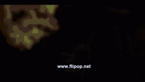 a close up of a person 's face in a dark room with the website www.flipop.net written on the bottom .