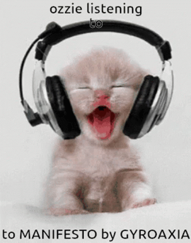Ozzie Ozzie Memuaic GIF - Ozzie Ozzie Memuaic Kitten GIFs
