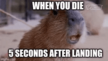 a capybara with its mouth open and a caption that says `` when you die 5 seconds after landing ''