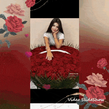 a woman is laying on a bed of red roses with the words video slideshow at the bottom