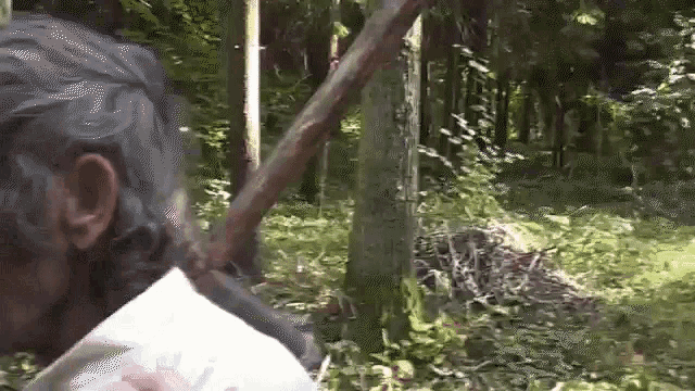 a man in a white shirt is holding a wooden stick in the woods .