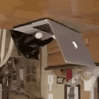 a black cat is laying on top of a laptop on a table .