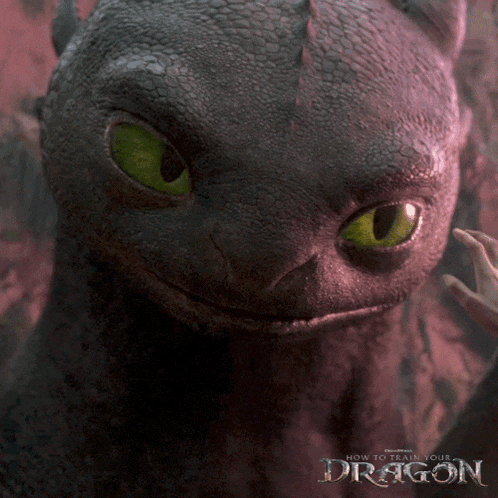 a poster for how to train your dragon shows toothless smiling