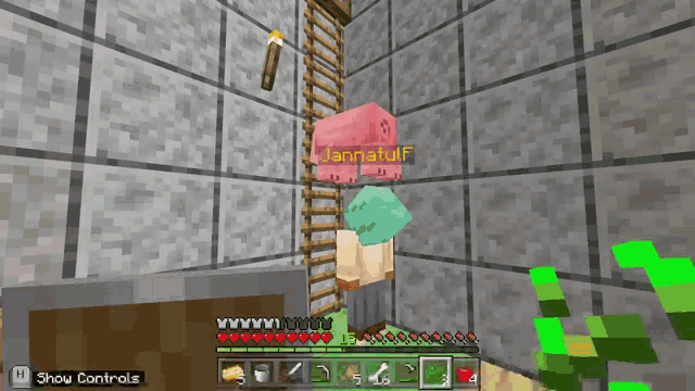 a screenshot of a minecraft game with a ladder and a pink block that says wannafulf on it