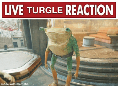 a picture of a frog with the words live turgle reaction made with mematic