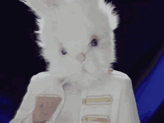 a person wearing a white bunny mask and a white jacket with gold buttons