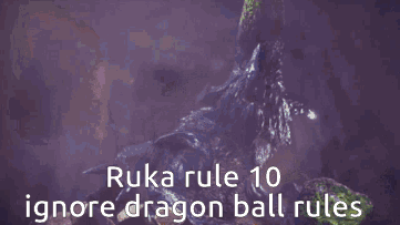 Monster Hunter Ruka Rules GIF - Monster Hunter Ruka Rules GIFs