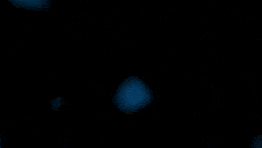 a blue letter w is on a dark blue background