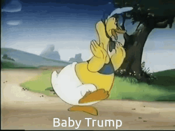 Donald Trump Baby Trump GIF - Donald Trump Baby Trump GIFs