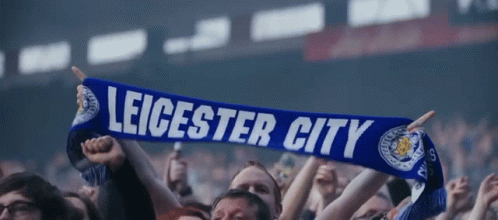 Leicester City Lcfc GIF - Leicester City Lcfc Scarf GIFs