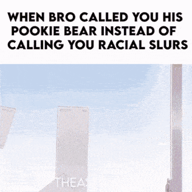 a meme that says when bro called you his pookie bear instead of calling you racial slurs