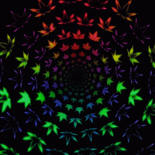 a rainbow of marijuana leaves in a circular pattern on a black background