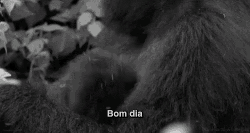 a black and white photo of a baby gorilla with the words bom dia written on it .