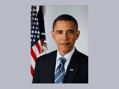 Louis Obama GIF - Louis Obama Transform GIFs