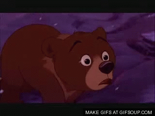 Sad Bear No GIF - Sad Bear No Shook GIFs
