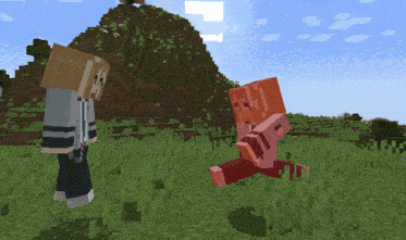 two minecraft characters standing in a grassy field