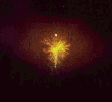 a close up of a green fireworks display on a black background .