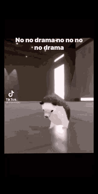 a white hedgehog is walking in a dark room with a caption that says `` no no drama no no no no drama '' .