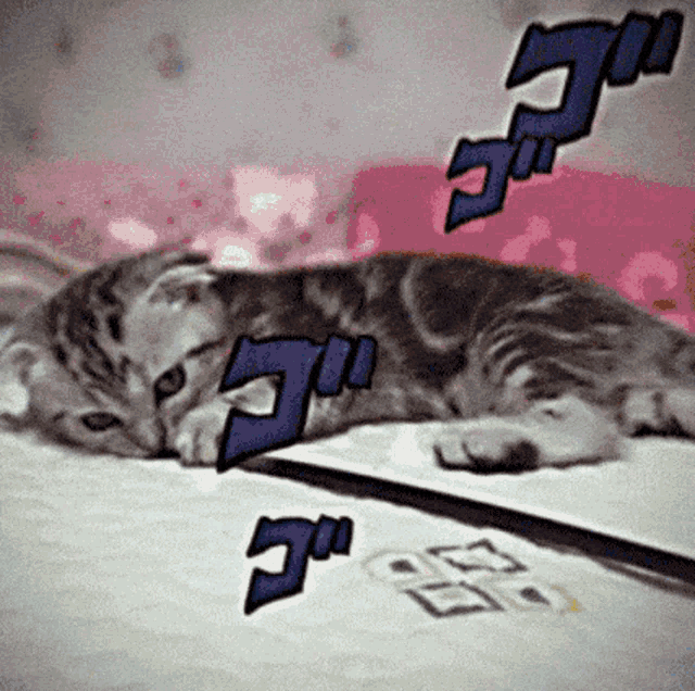 a cat laying on a bed with a pink background and purple letters that say ' jc '