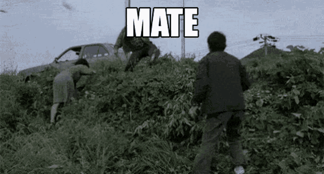 a man and a woman are walking through a grassy field with a car in the background .