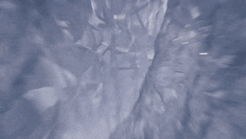 a person is flying through a cloudy sky with a shadow of a dragon .
