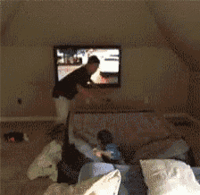 a dog is laying on a couch in front of a tv