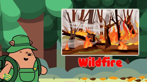 a picture of a forest fire with the word wildfire in red