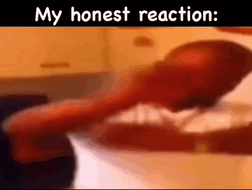 My Honest Reaction My Honest Reaction Meme GIF - My Honest Reaction My Honest Reaction Meme No GIFs