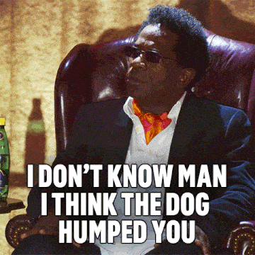 I Don'T Know Man I Think The Dog Humped You Herbie Hancock GIF - I Don'T Know Man I Think The Dog Humped You Herbie Hancock I Think You Should Leave With Tim Robinson GIFs