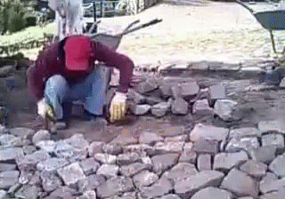 Am I Bothering You? GIF - Goat Climb Worker GIFs