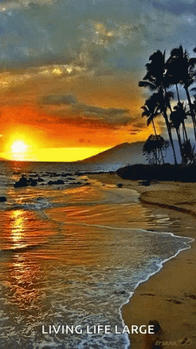 Sea Sunset GIF - Sea Sunset Beach GIFs