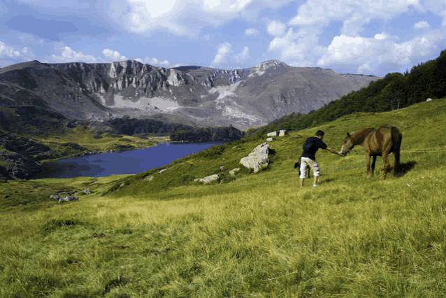 a man standing next to a horse in a grassy field