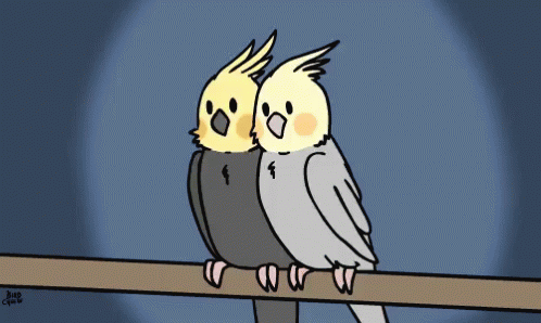 Dont Worry GIF - Dont Worry Bird GIFs