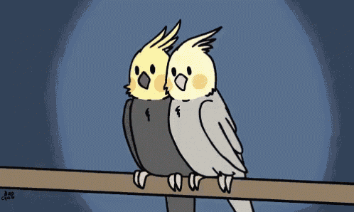 a drawing of two birds sitting on a branch with the word bird on the bottom left