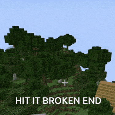a screenshot of a minecraft game with the words hit it broken end