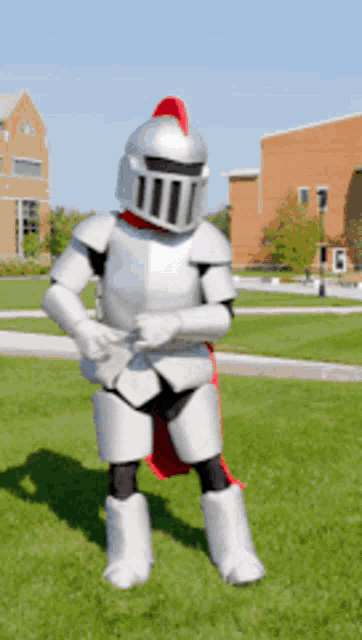 a person dressed as a knight is standing in a field