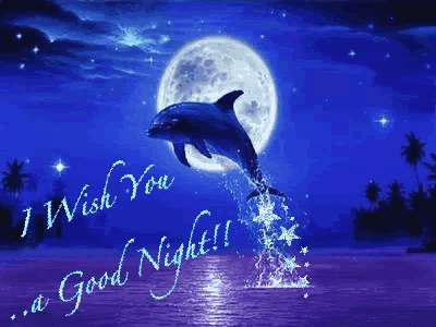 a dolphin jumping out of the water at night with the words i wish you a good night