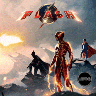 The Flash The Flash Movie GIF