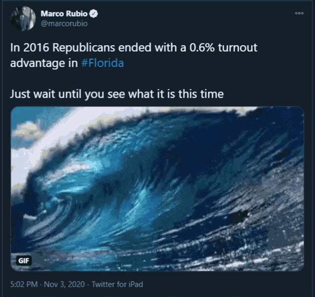 Marco Rubio Blue Wave GIF - Marco Rubio Blue Wave Election Day GIFs