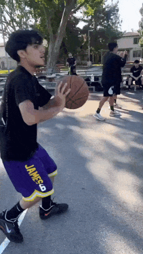 a man in purple shorts with the word james on them holds a basketball
