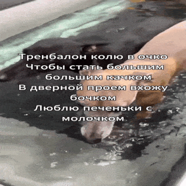 a picture of two dogs in a pool with russian writing