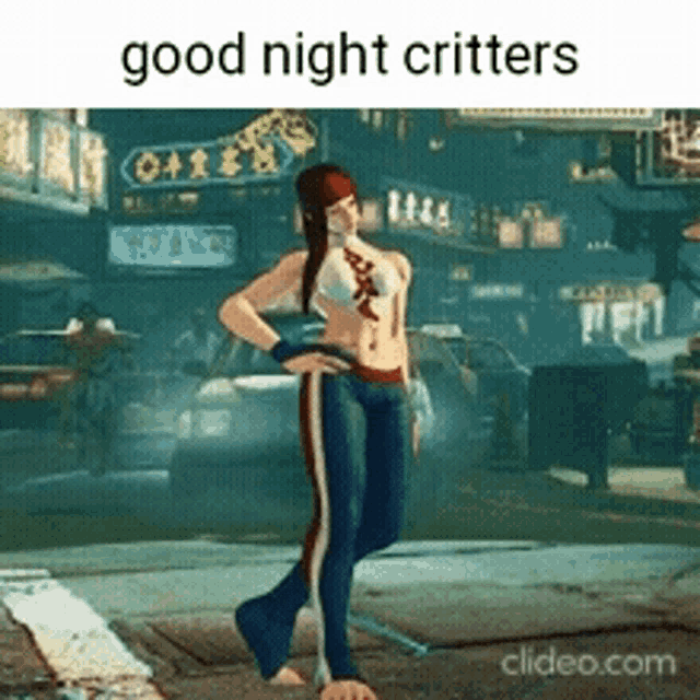 Good Night Critters Streetfighter GIF - Good Night Critters Streetfighter Juri GIFs